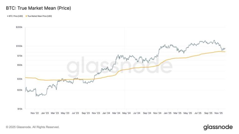 These Three Metrics Show BTC Found Strong Support Near $80,000