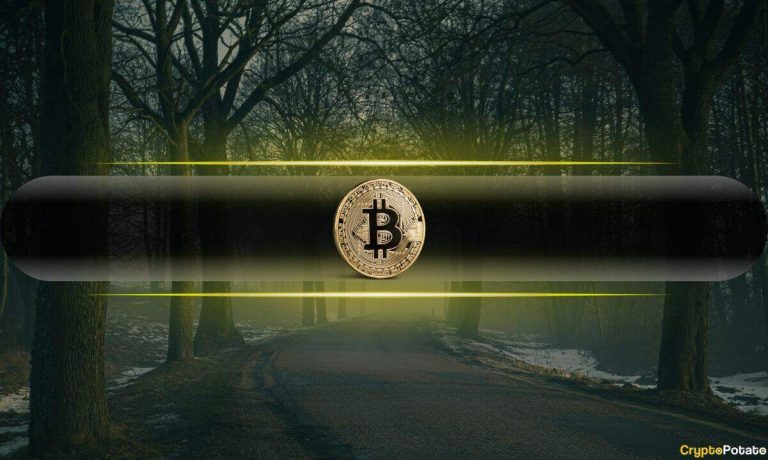 Is This the Hidden Reason Behind Bitcoin's $23K Collapse in Just 6 Weeks?