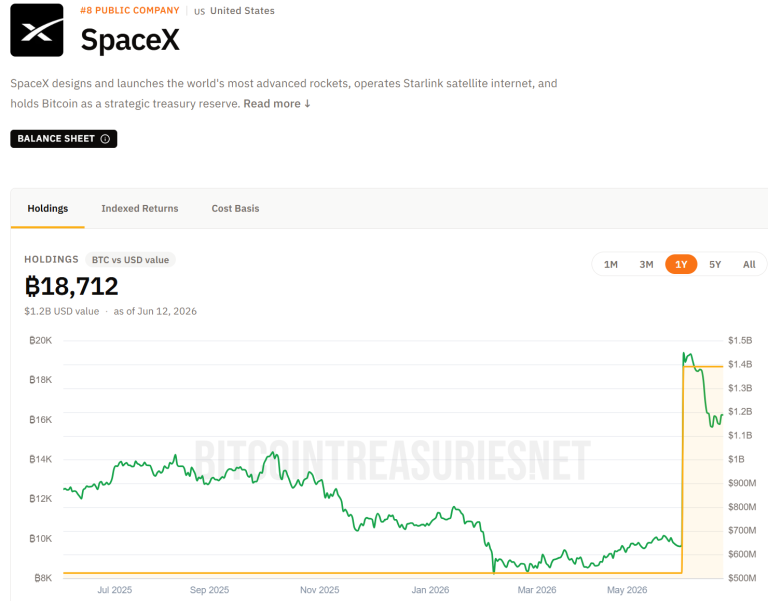 SpaceX BTC Holdings