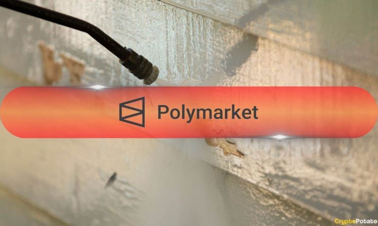 Galaxy Finds 7 in 10 Polymarket Retail Traders Lost Money Galaxy Finds 7 in 10 Polymarket Retail Traders Lost Money